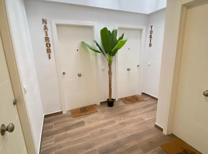 Apartment Alquilaeasy San Miguel